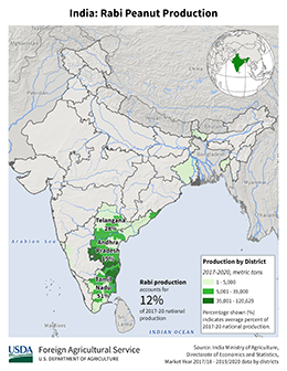 images\IN\seasonalmap\IND_Rabi_Peanut_preview.png